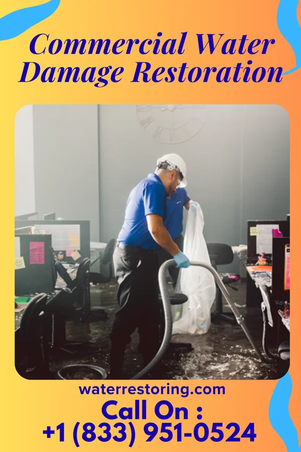 Commercial Water Damage Restoration in Alto, CA