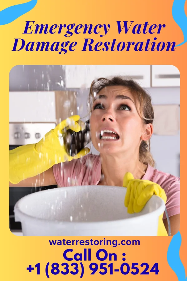 Emergency Water Damage Restoration in Alto, CA