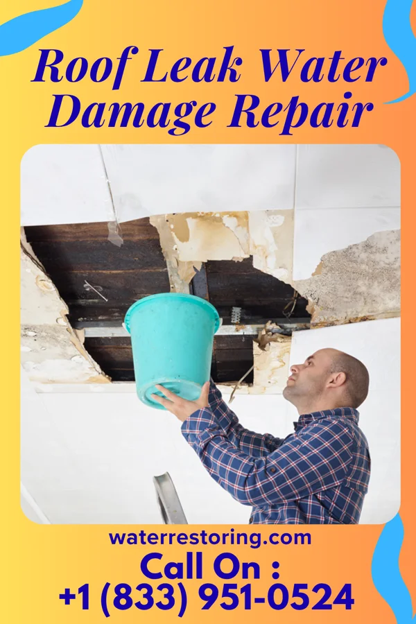 Roof Leak Water Damage Repair in Alto, CA